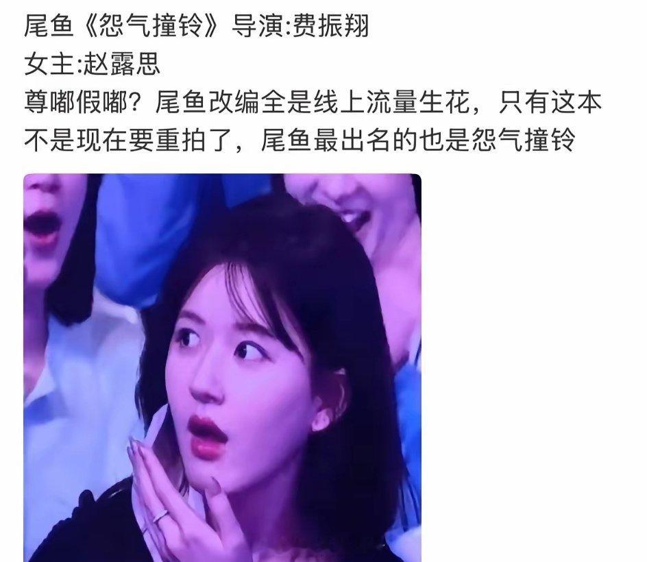 tg  12月24日，赵露思计划明年进组，目前接触的三部剧，一部是尾鱼的《怨气撞