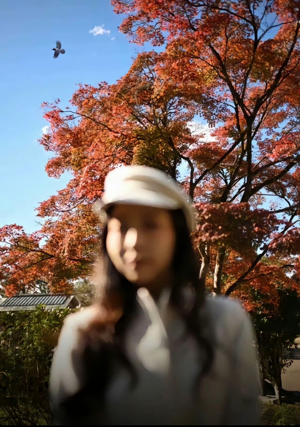 焦内如奶油般化开，焦外如刀割般锐利；眼睛是心灵的黑洞；让文物带你穿越时空，与祖先