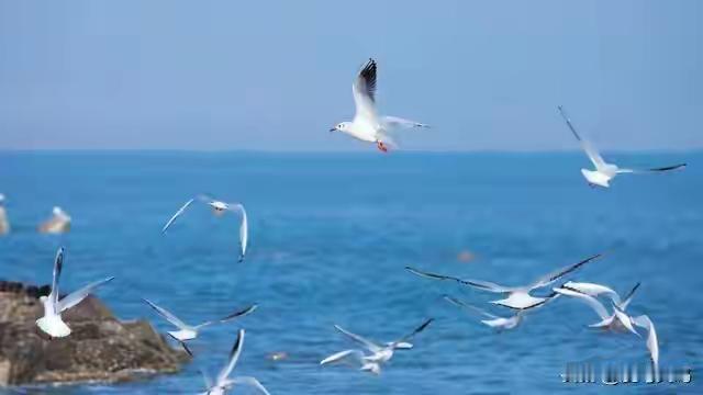 一位老情人的坦言，99%的情人，都毁在这四个“字”上，知道吗？
这句话表达了一个