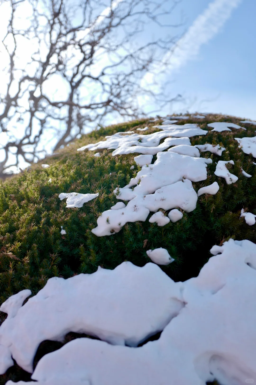 海南人第一次见雪就动手动脚