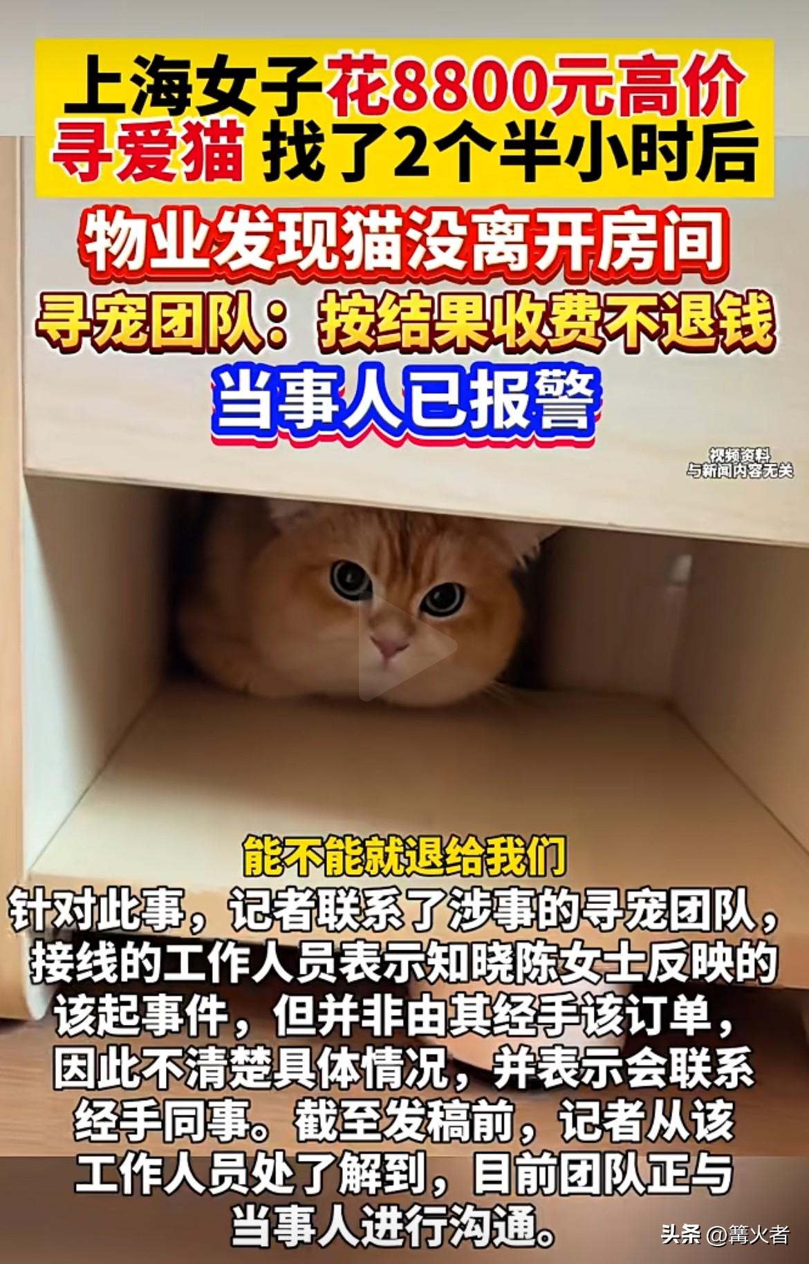 上海女子花8800元请寻宠团队找爱猫，结果找了俩半小时，物业发现猫压根没离开房间