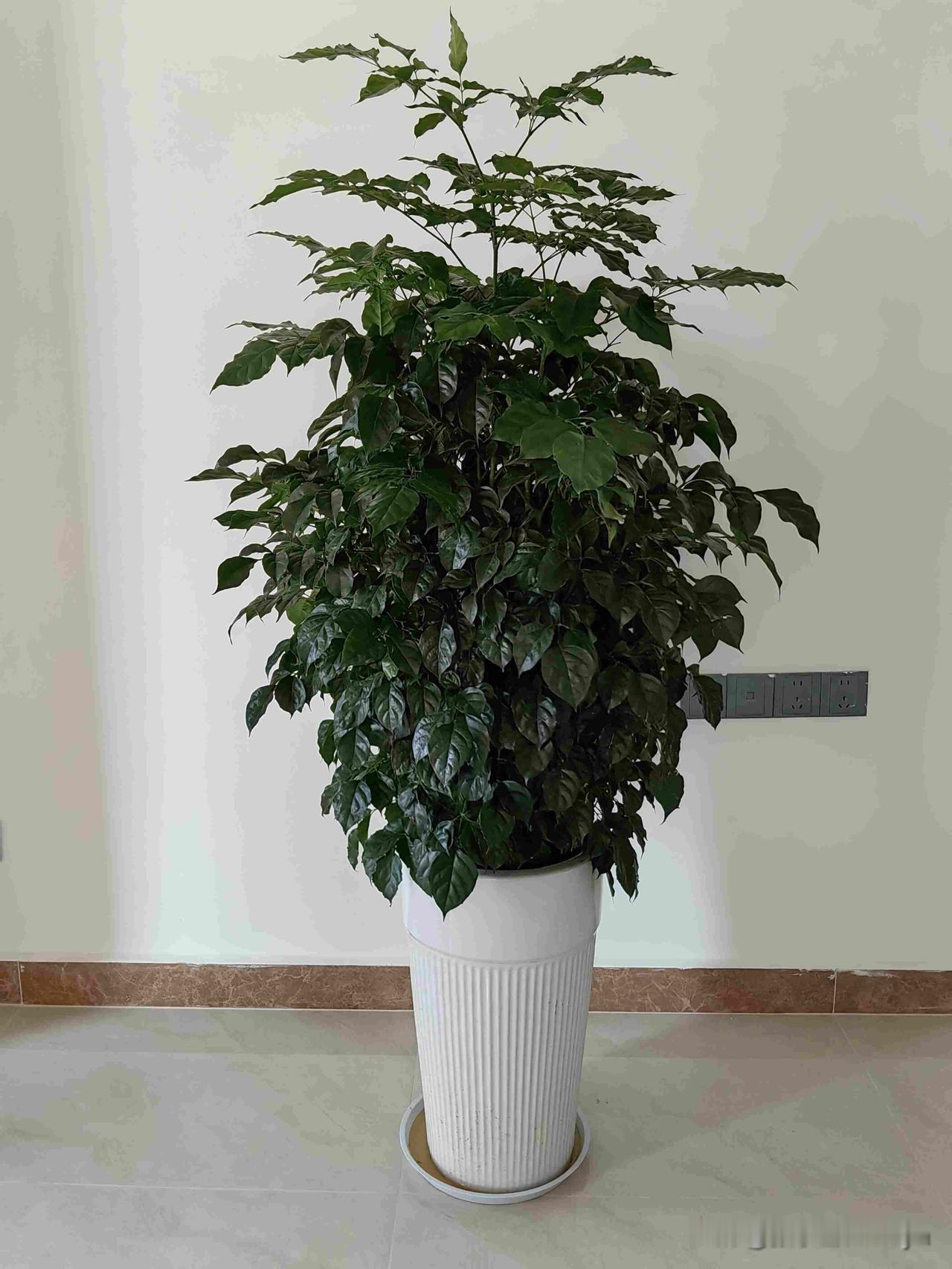 学校教育已经陷入了一个怪圈：很多老师为了不被告，选择不管教坏学生。都在宣扬一种∴