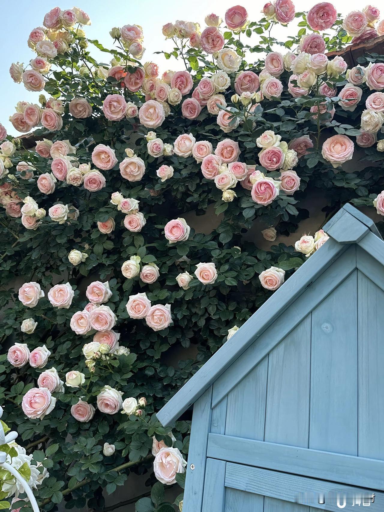 从小被教育，人一定要忙起来，才叫积极向上，要达到某种世俗的成功，才叫有意义。后来
