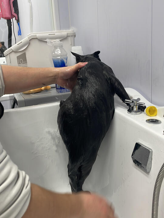 不好意思，我有点事 先走一步 886