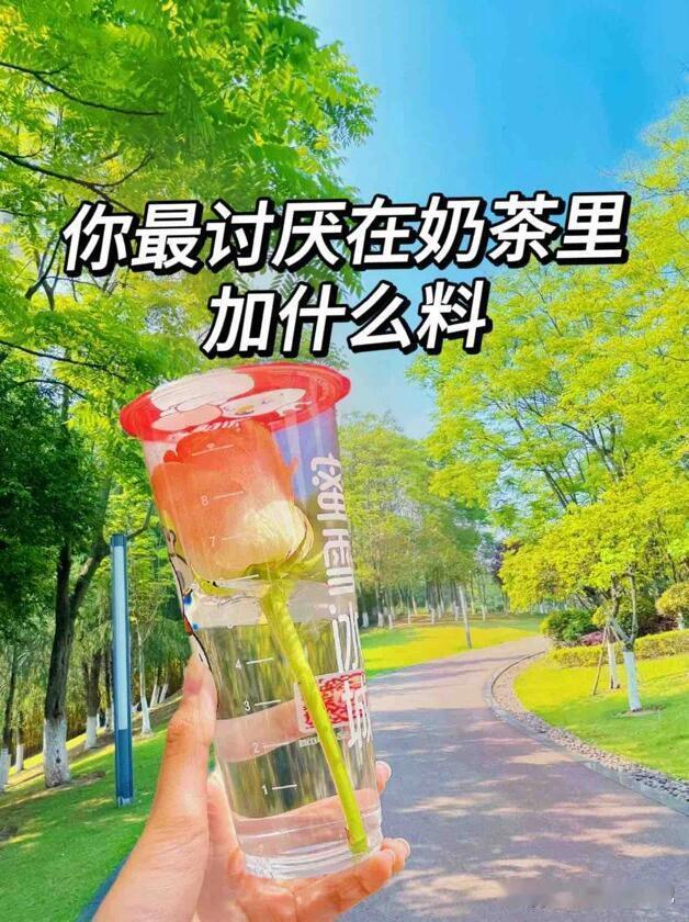 你们最讨厌奶茶里加什么料啊 