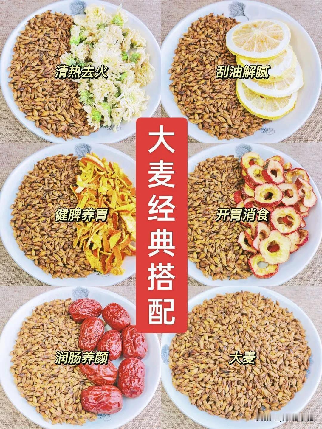 大麦是个宝！四季都可以喝
#麦冬茶饮# #每天推荐养生茶# #大麦茶🍵# #7