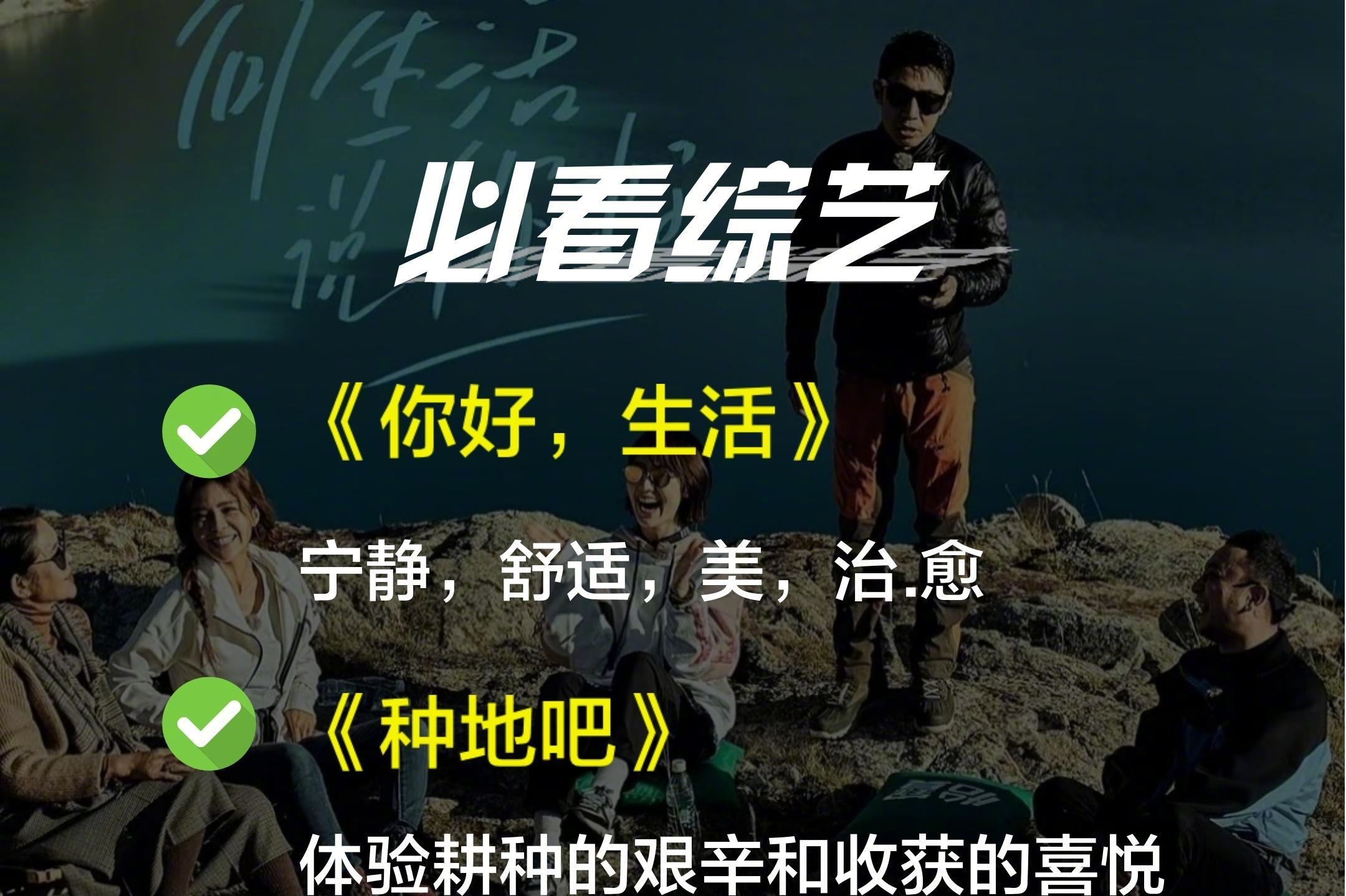 这些综艺真的比书还好看！ ​​​