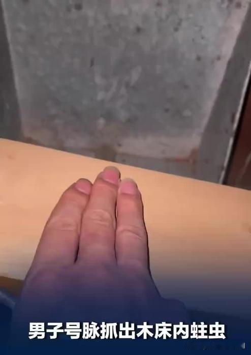 男子竟凭“号脉”绝技揪出木床内蛀虫！近日，一男子家中木床有异响，他像中医号脉般将