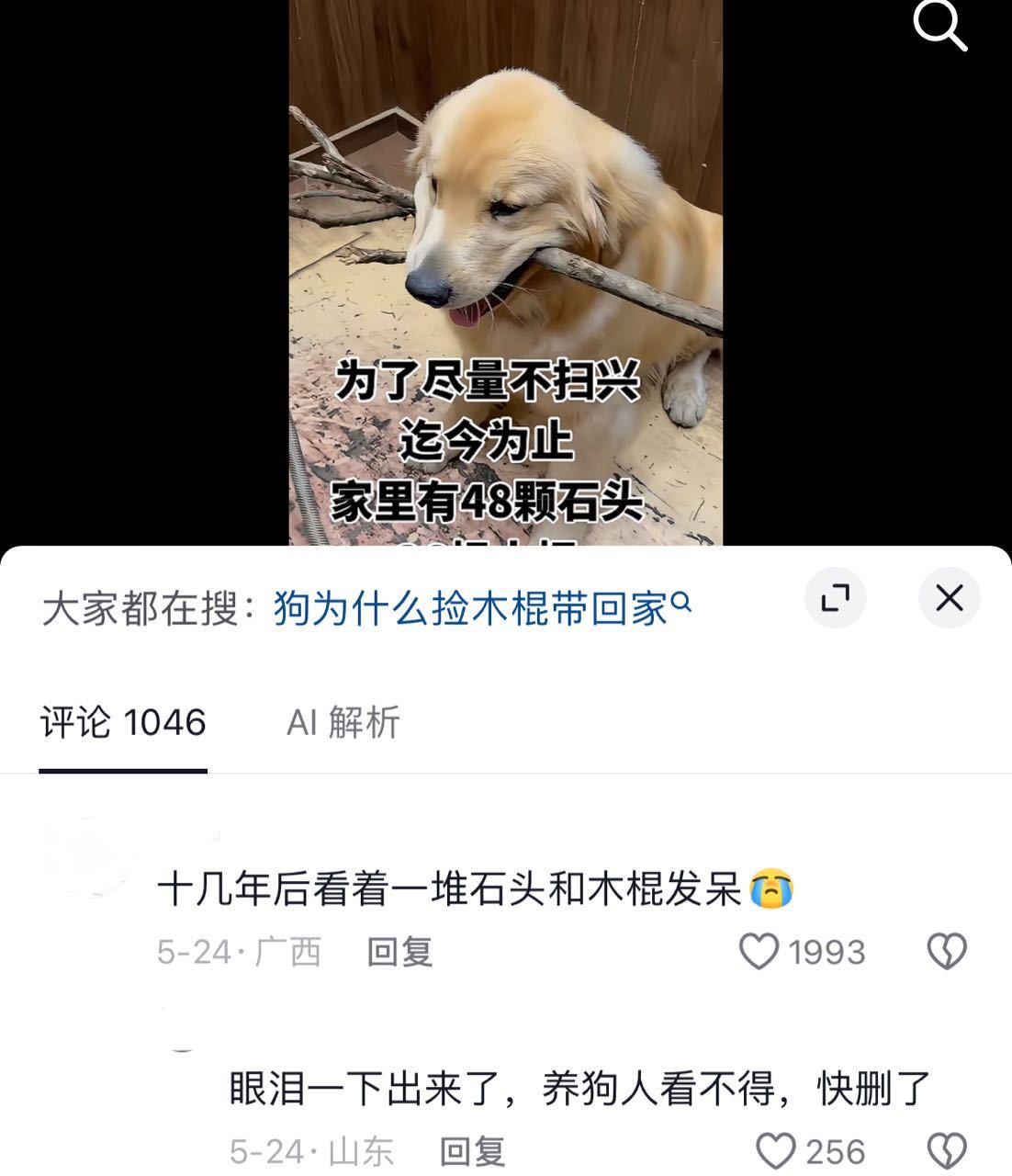 分享图片 