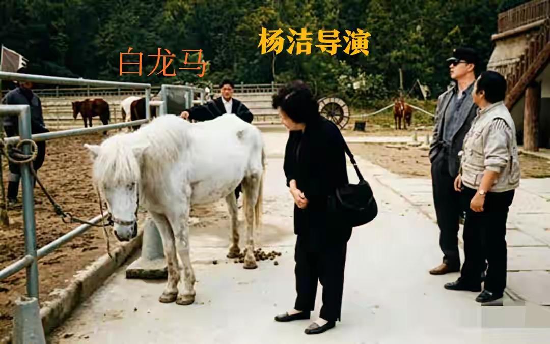 王铎：杨洁与白龙马偶遇

杨洁后来气愤地说：她真没想到，这么聪明的白龙马，在拍过