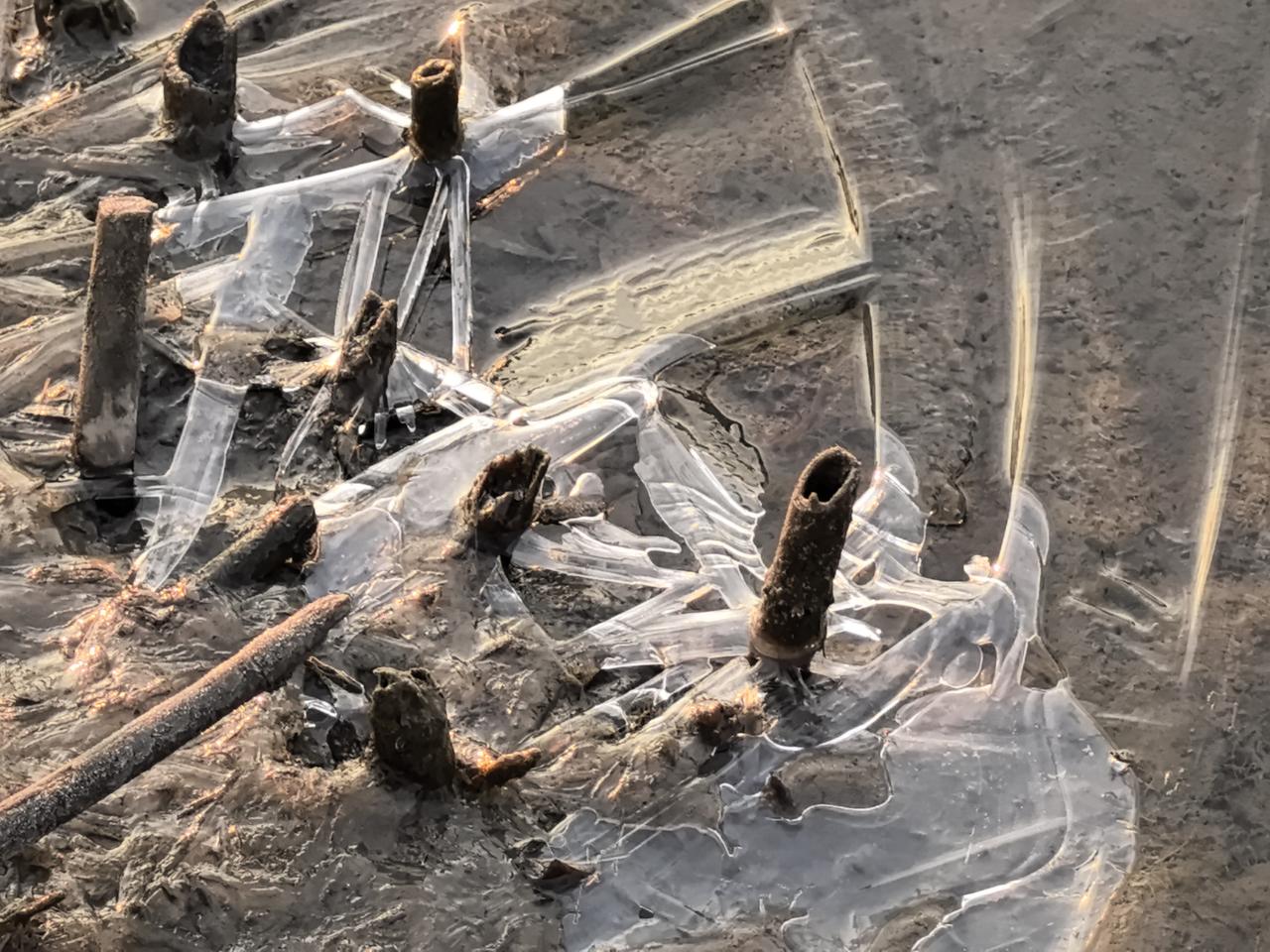 三九第二天，浙江湖州长田漾的水边结着薄冰，霜花凝结在草叶上，看上去真的有点冷，用