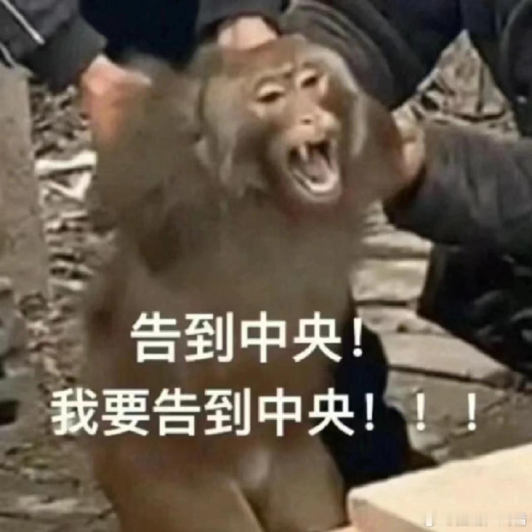 每天看那些绸仁整天住热搜，还不风沙 ​​​