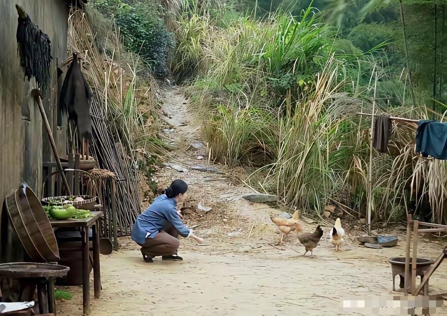 刘亦菲演的农村妇女在喂鸡，总感觉哪里不太对 