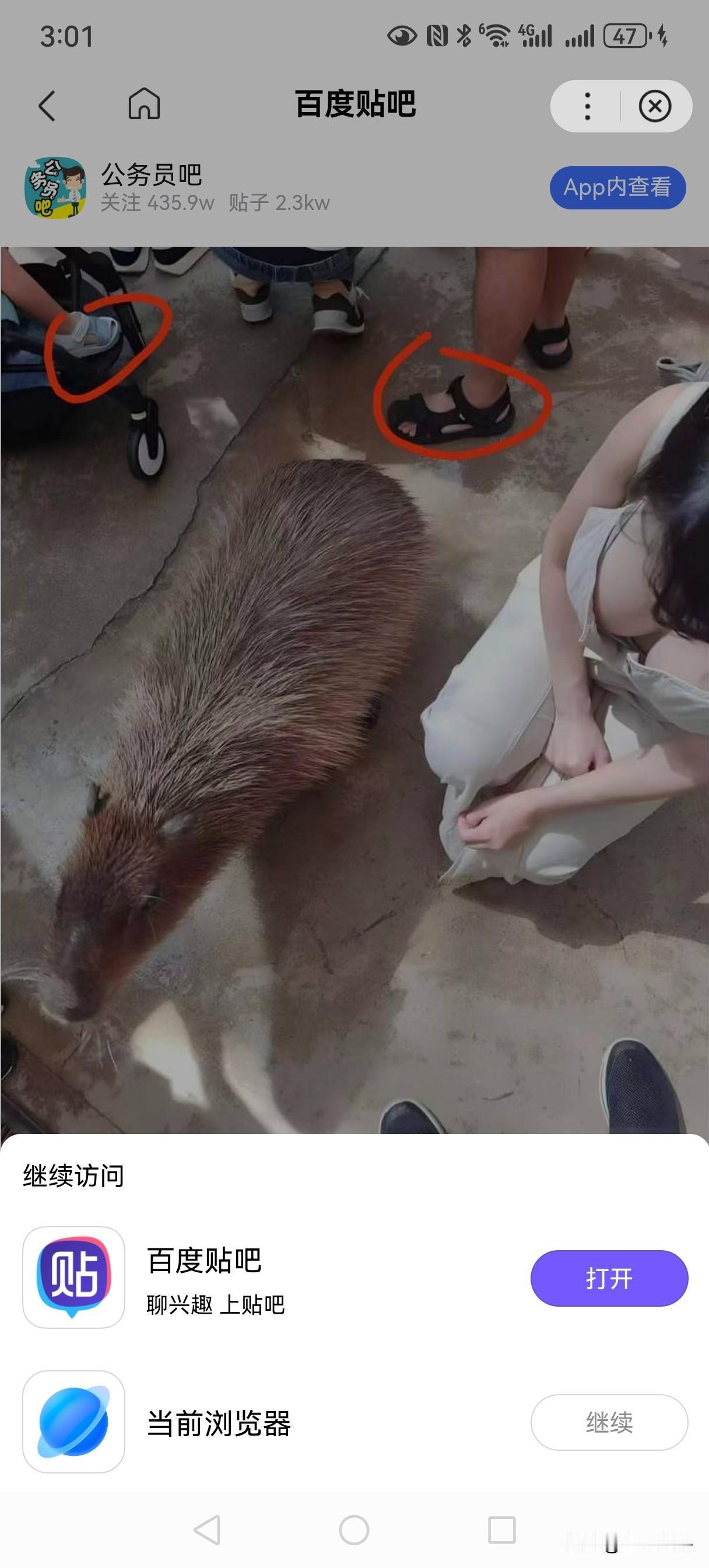 命题有毛病吧
     小学生有行李吗？
     除了那些封闭式的贵族学校什么