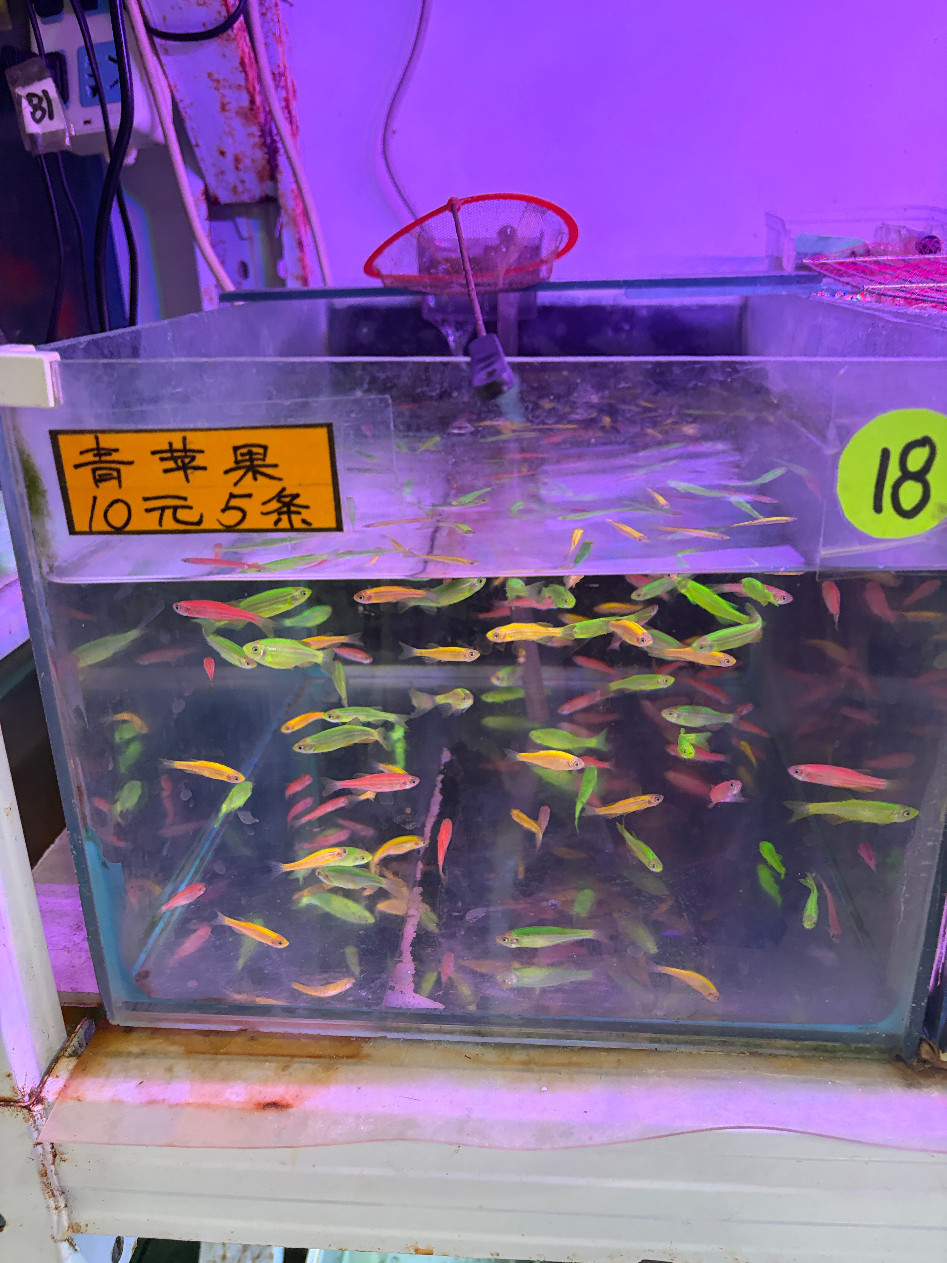 跑步打卡[超话]生活手记天逐渐凉起来，自己的生物钟也调节成秋冬模式，早睡晚起的节