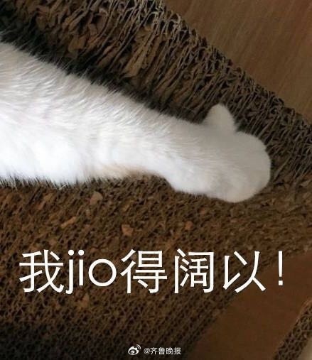 #早安# 只要坚持下来，总会遇见一个更好的自己。​ ​​​