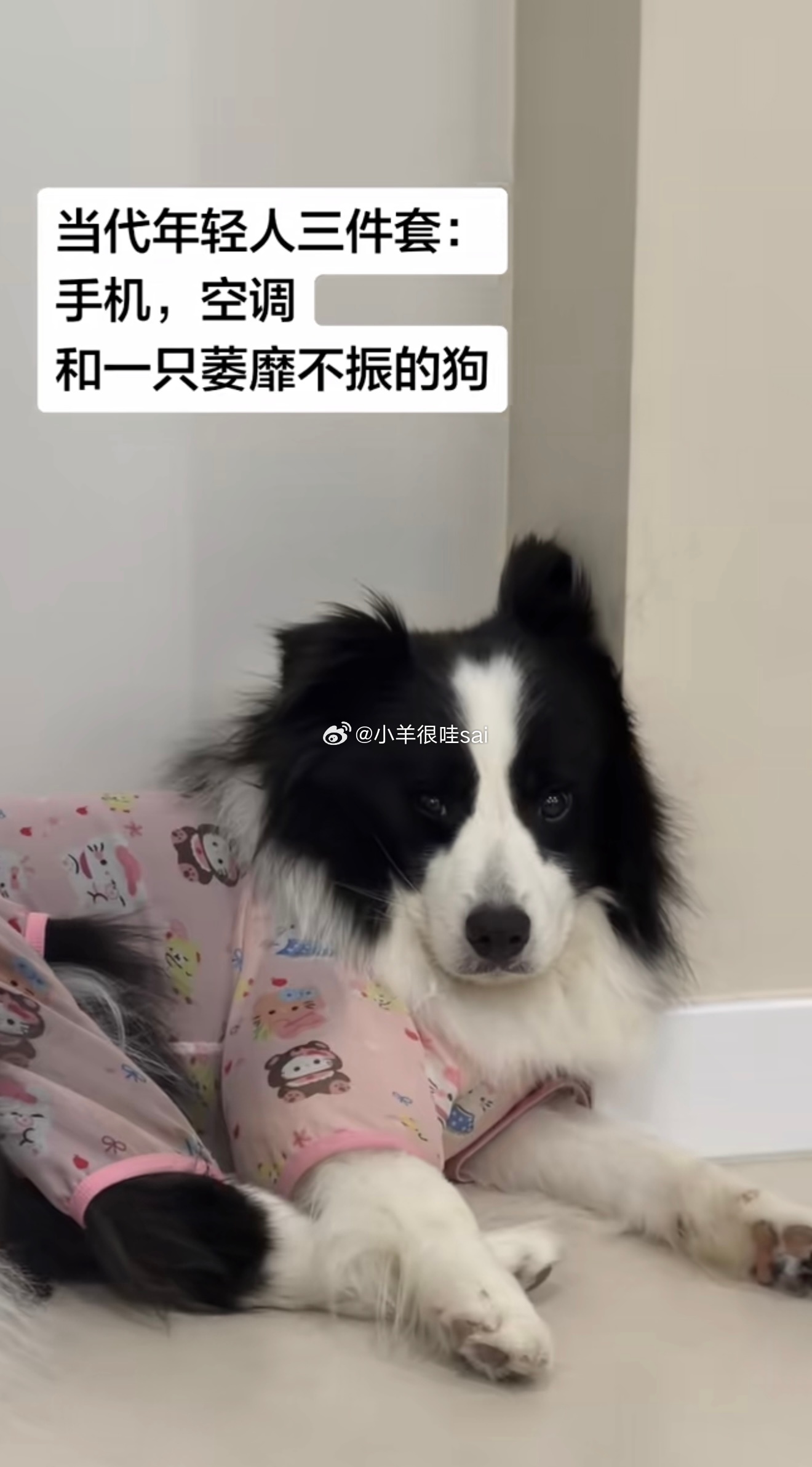 既然大家都这样 那我就放心了 