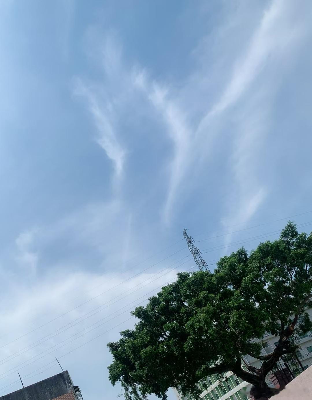 剧版青簪行  当你是一缕阳光，温暖的不仅是别人，也是自己。当你是一处风景，不仅绽