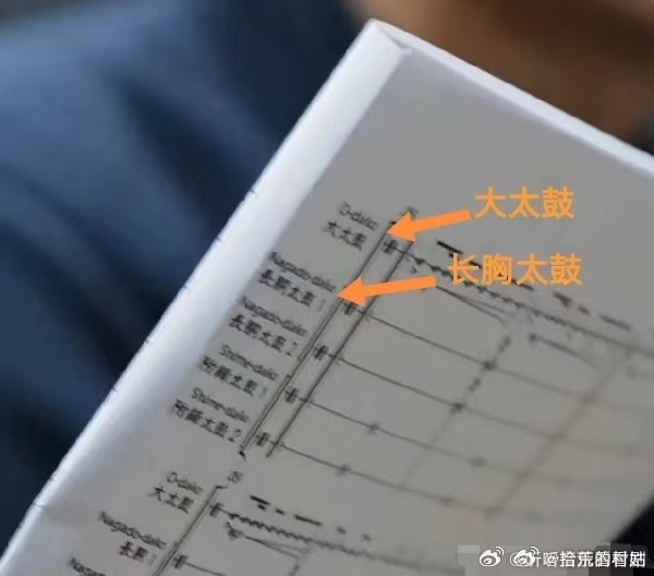 朱一龙敏感度 品牌活动方的彩排流程上写的就是日本大太鼓朱一龙疑似在长城敲日本太鼓