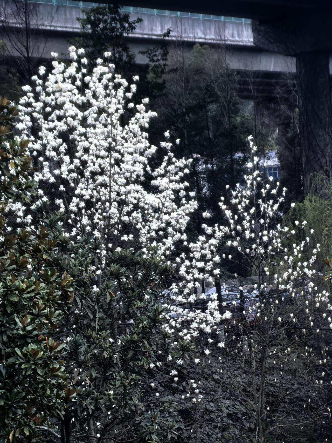 新年爱好打卡是时候迈开腿了！春天到了，走出家门蹦跶去！