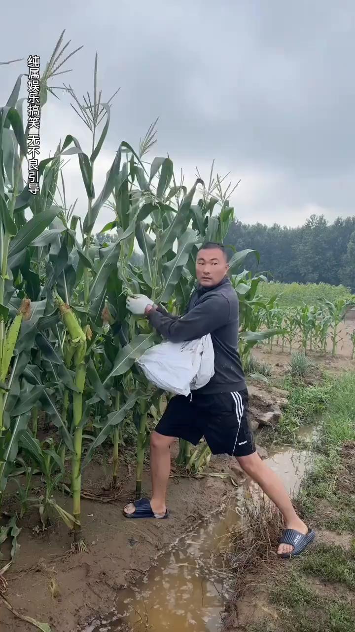 哎，哎，哎，哎，哎，哎，哎，哎，哎，哎，哎，哎，哎，哎，哎，哎。