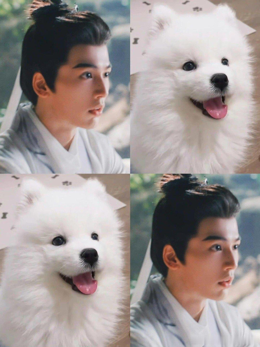 #嵇炀黑化#哇哦！！！难得 也有狼的时候，不过嘛，还是狼比他霸气！骨子里还是小奶