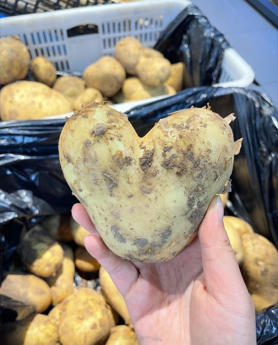 周末去超市，偶然邂逅一颗心形土豆，原来大自然也藏着细碎的浪漫。平平无奇的洋芋长成