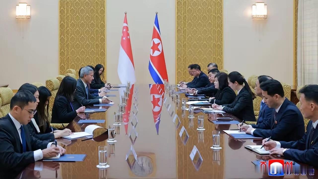 5月27日，新加坡外长维文在结束对中国的访问之后，已经抵达了朝鲜平壤，并且和朝外