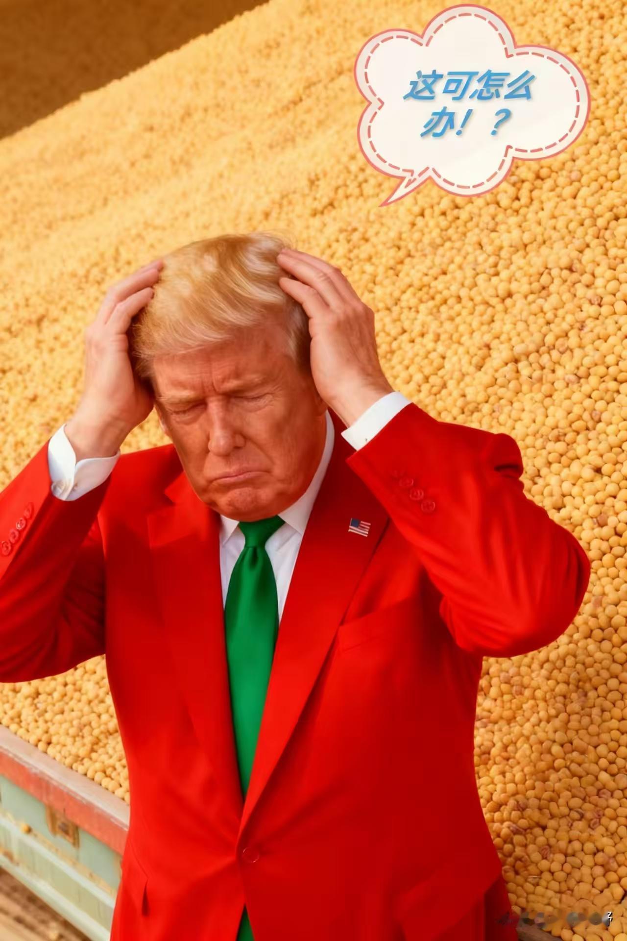 特朗普这边刚等来中国加购美国大豆的好消息，那边美国自己人就开始“拆台”了：台湾问