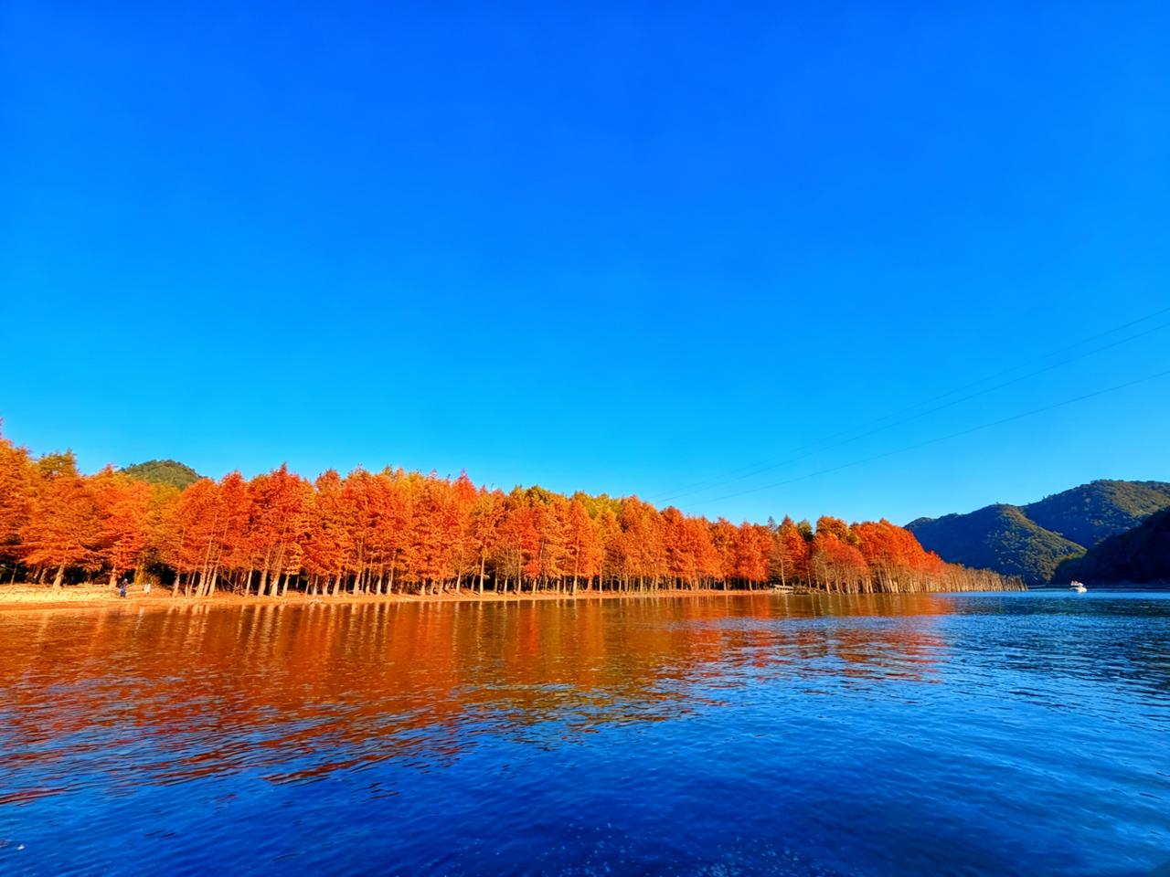 今晚中国男篮大概率会上胡金秋、朱俊龙、胡明轩、赵睿、廖三宁。三后卫战术，如果以胡