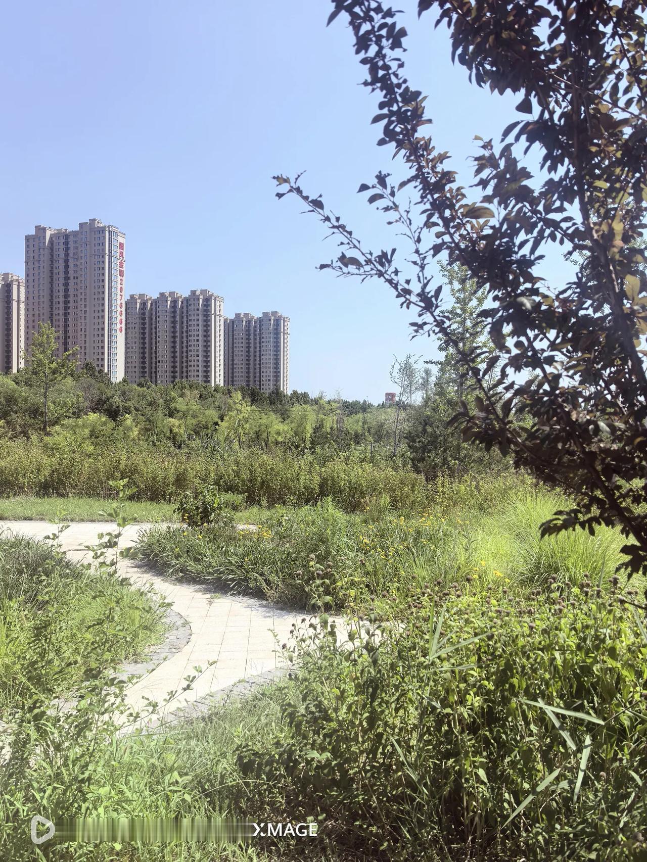 沧州市医学高等专科学校2026年选聘博士研究生3名。选聘对象为已毕业的博士研究生