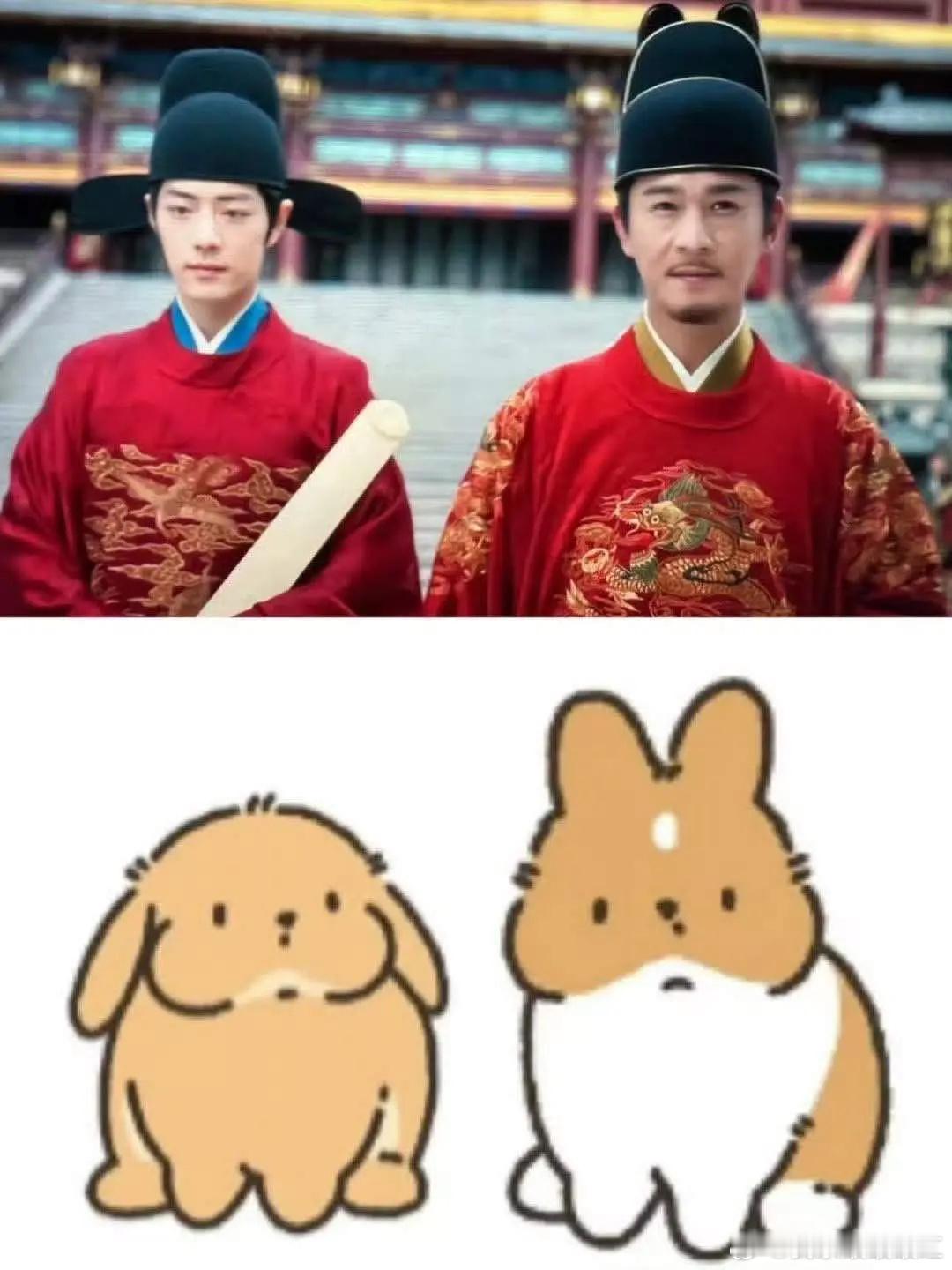 藏海传垂耳兔和立耳兔啊 ​​​