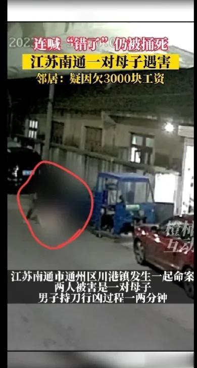 一对母子遇害，受害人最后一刻大喊“我错了，我错了”！但还是被直接捅死了！杀人原因