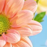 生活手记奔波的日子虽累，心里却满是踏实，在烟火里谋生，在琐碎里寻梦，变好从不怕慢