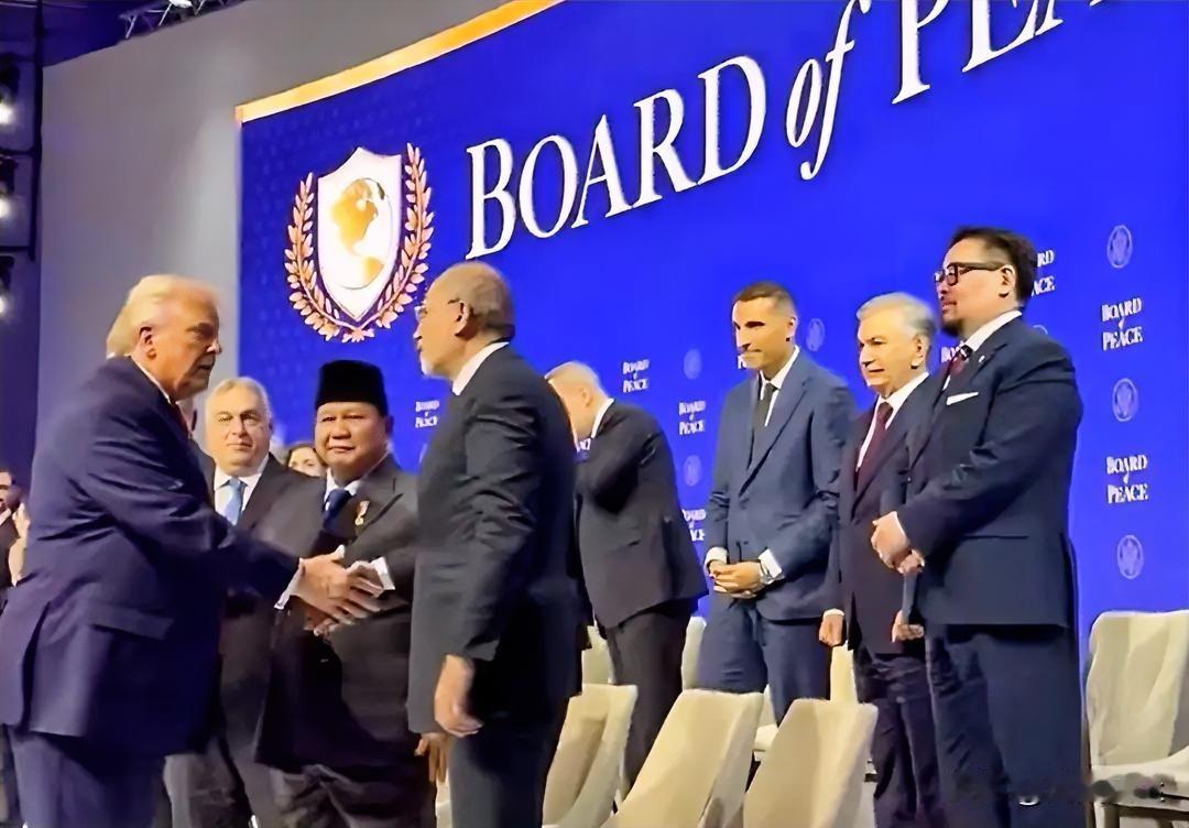 白宫新闻秘书卡罗琳·利维特宣布，特朗普已签署“和平委员会”宪章，正式将其确立为国