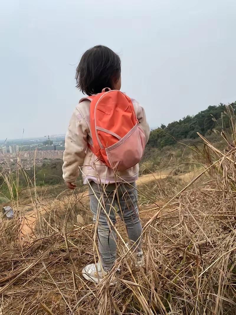 7岁的小姑娘每天都要自己一个人走6公里山路上下学，身边唯一跟着的，就是一只小狗。