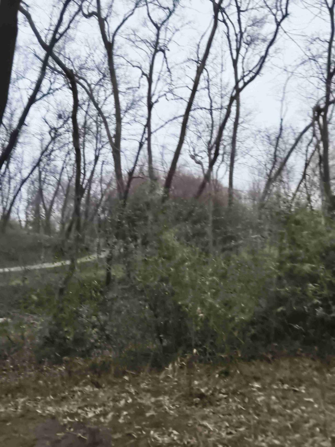 我的今日状态：😁轻松愉快
我这里的天气：☀️晴天