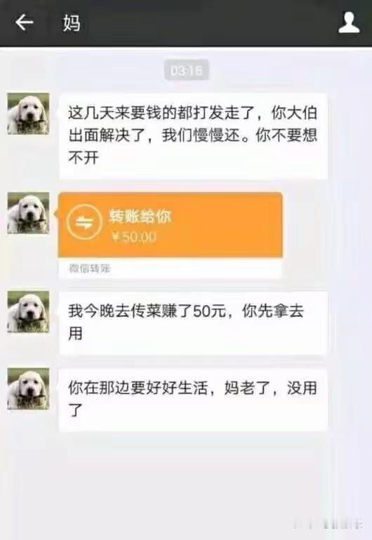无论什么时候看到这张图 都会一次次被震撼到 ​​​