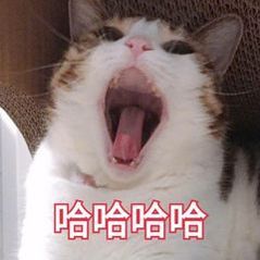 双胞胎必须要一模一样的东西吗不光双胞胎吧，只要家里有两个孩子的应该都有这种体会，