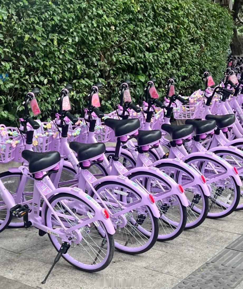 紫色战车，广州什么时候有紫色的共享单车了？ 