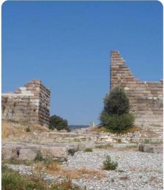 哈利卡那索斯围城战
在公元前334年，随着亚历山大大帝东征的号角响起，希腊世界掀