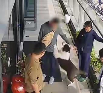 仇女士出门吃饭的时候，发现隔壁装修小哥身边跟着一条边牧。正常装修哪会带狗啊？她心