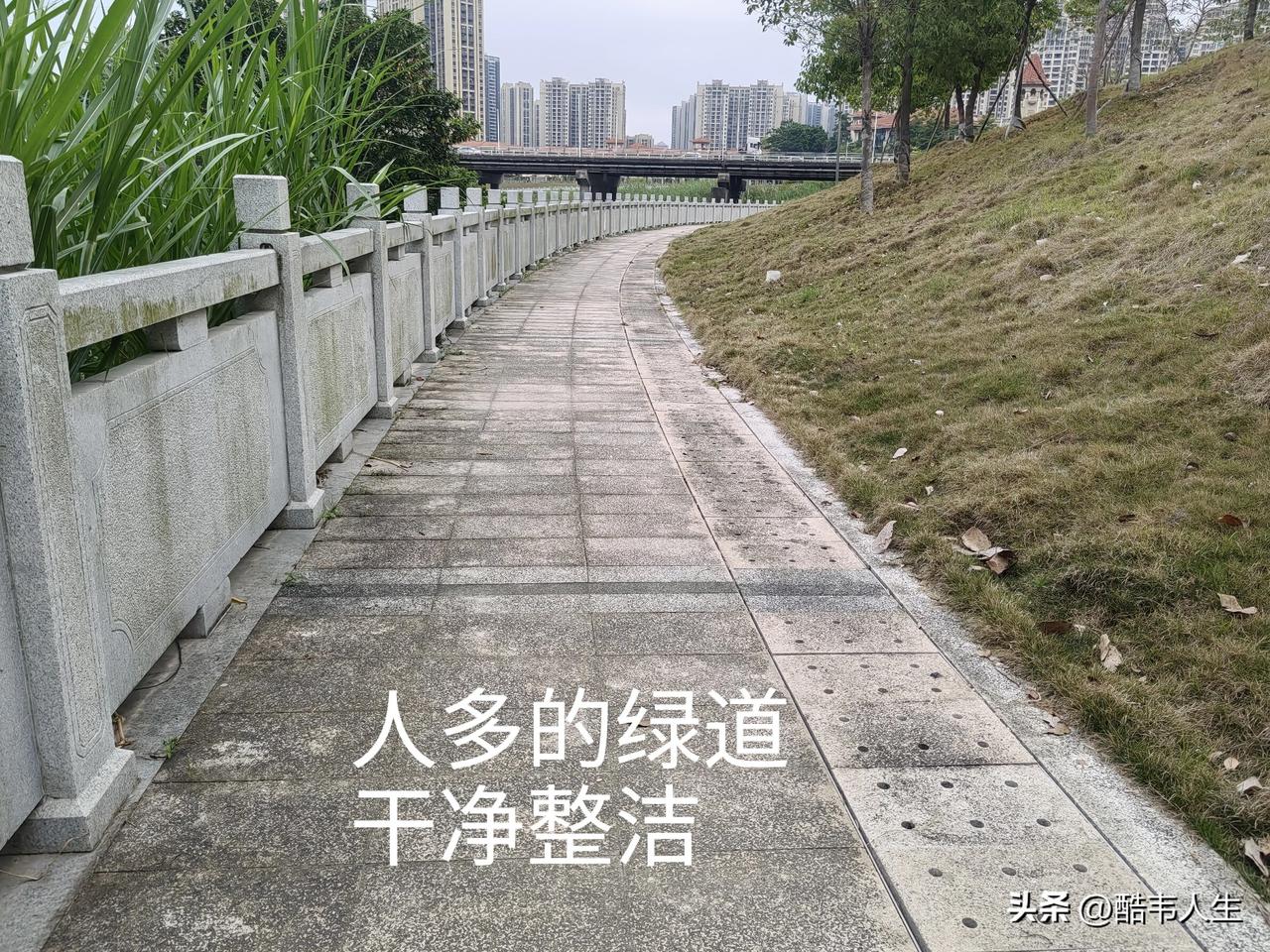 大亚湾坪山河部分河畔的绿道已然修好，然而呈现出的却是两种大相径庭的景象。有些地段