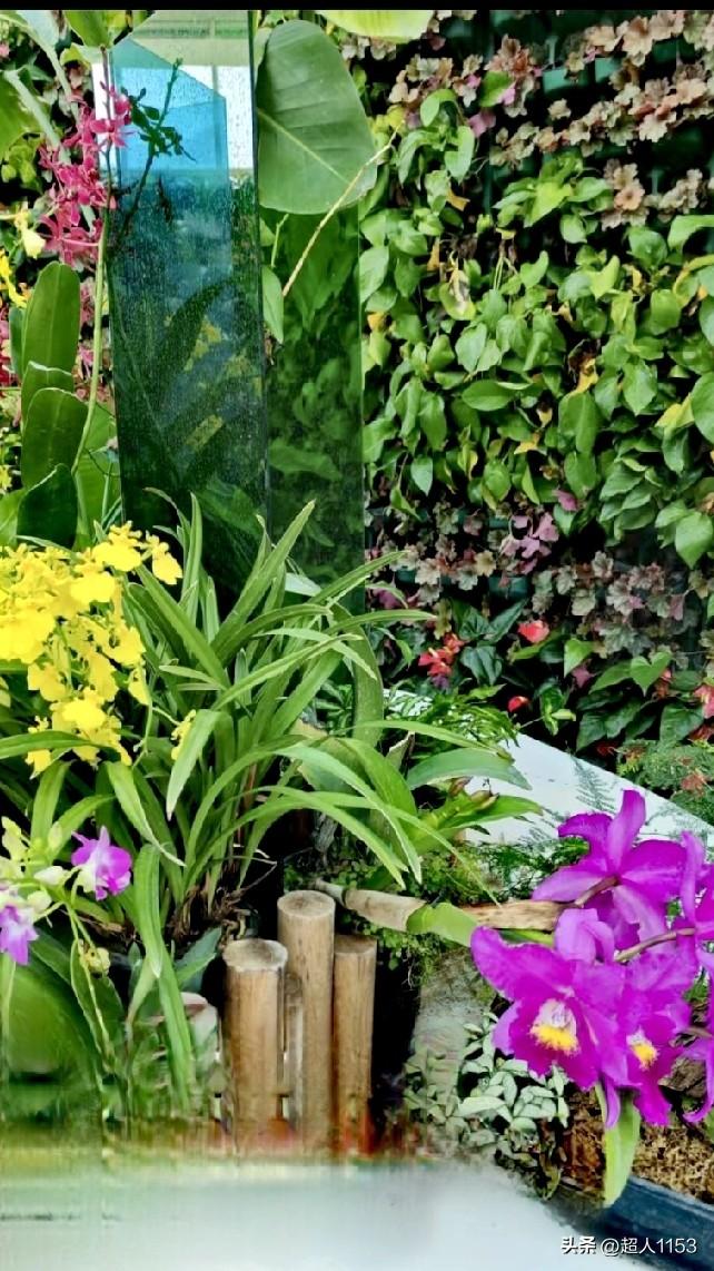 昨天是惊蛰到，🌷
大地回暖万物复苏。

惊蛰一到春雷响起，
天地皆新万物有序。