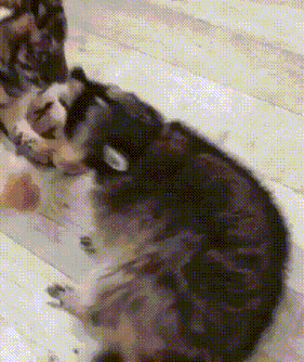 有时候
朋友只能在小时候当
等长大了
再也无法回到那时候的纯粹