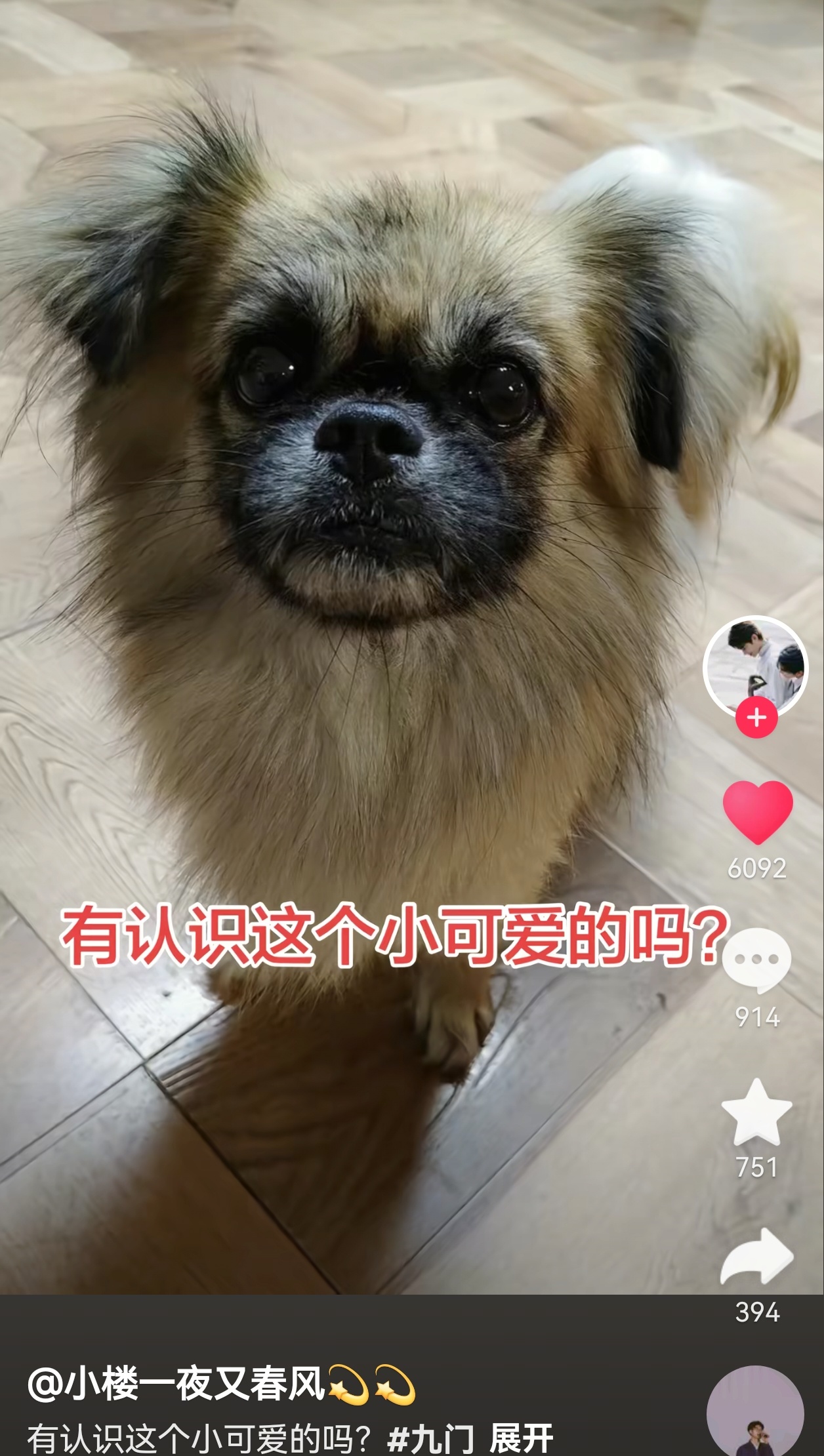 抖音上已经出现携人携狗陆续加入吴家的现象了，全体吴家人/狗誓死追随五爷曾舜晞吴老