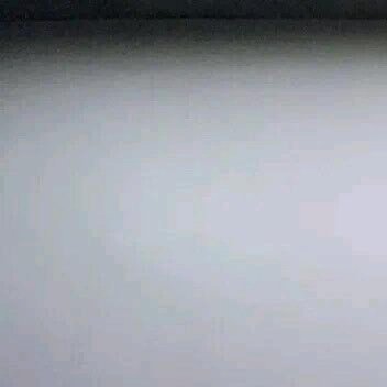 0000凤尾竹种植一、 选苗与时间选择株丛饱满、叶片青翠、无黄叶病虫害的健康盆栽