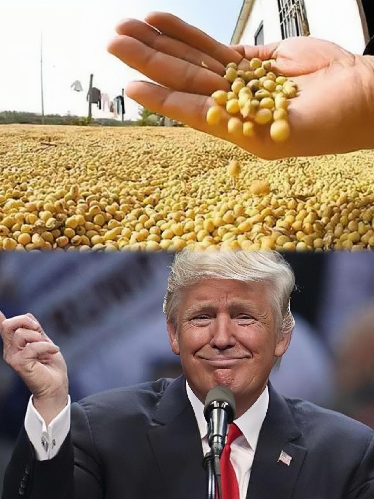 这回美国那边的老农民估计真要骂娘了。

12月18号这天，咱这边二话不说，直接退