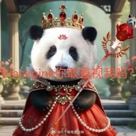什么屌图 