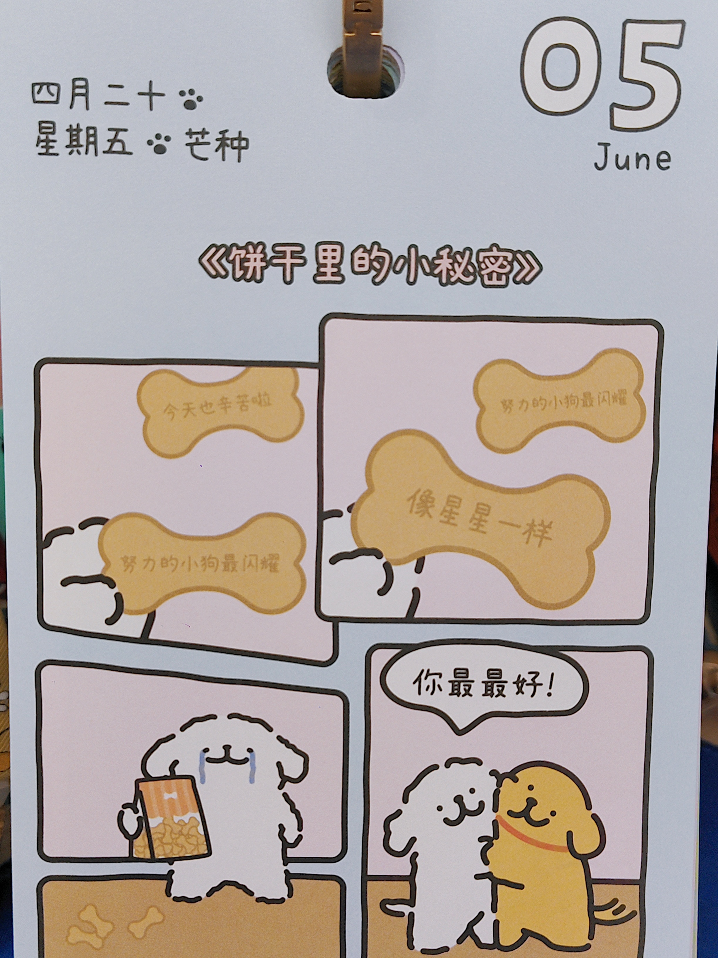 lucky的碎言碎语